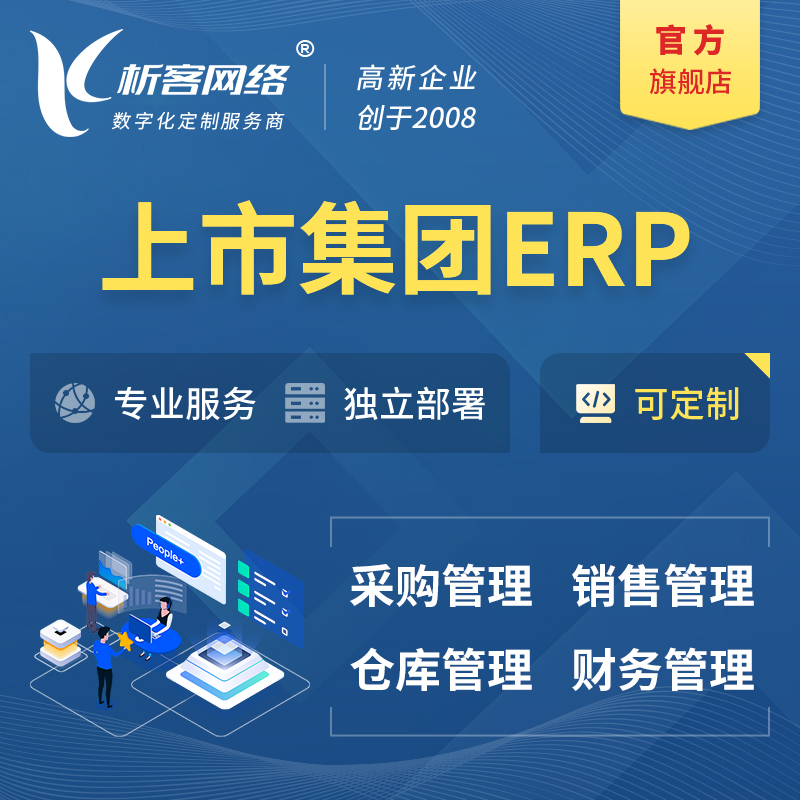 衡阳上市集团ERP软件生产MES车间管理系统